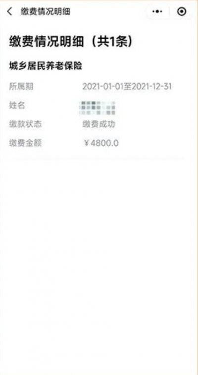 2024湛江城乡居民养老保险缴费什么时候截止（8）