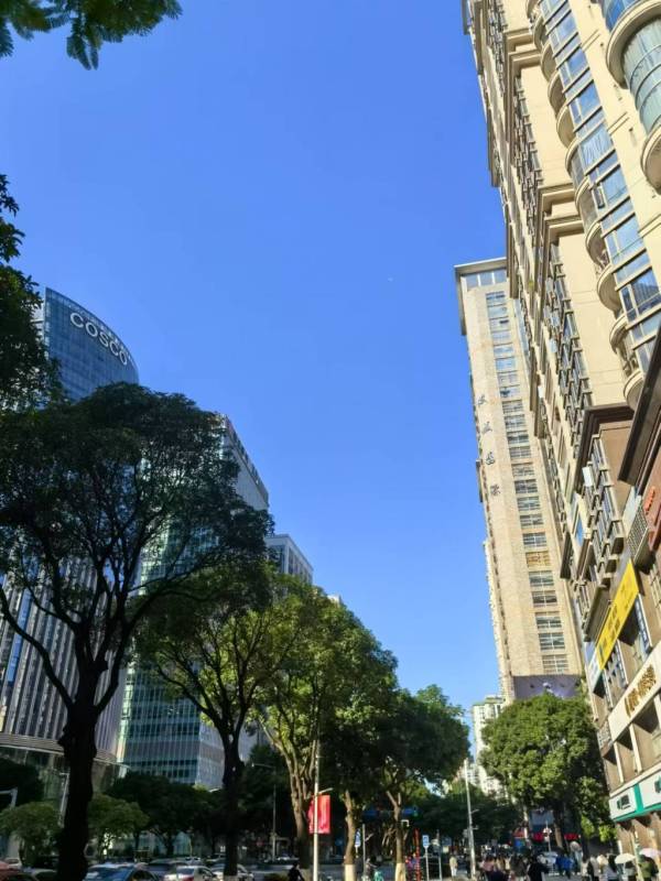 去广州旅游穿什么衣服合适（2024年11月28日更新）