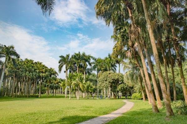 春天深圳东湖公园赏花指南 禾雀木棉杜鹃花开徇烂
