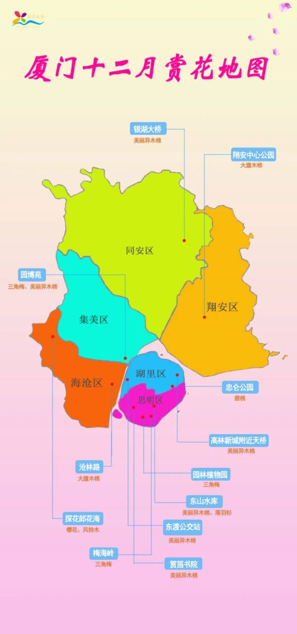 厦门十二月赏花地图（种类+地点）