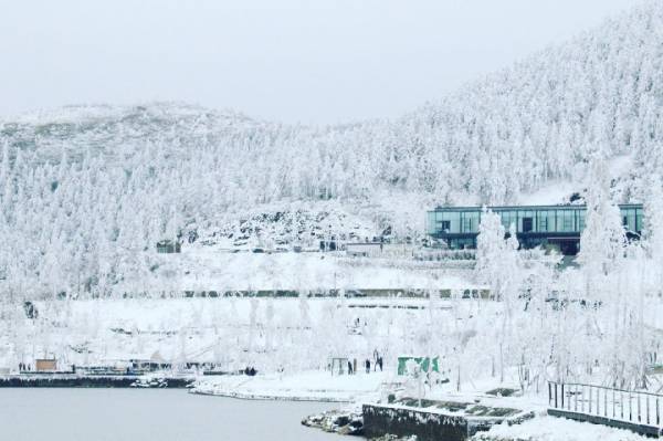 2024丰都南天湖什么时候下雪？