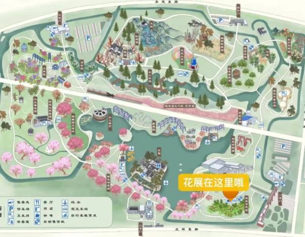 2025年宁波植物园迎春花展时间+地点