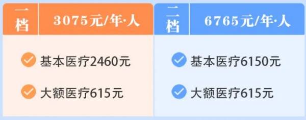 2025重庆个人职工医保什么时候交？
