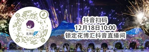 2025年武汉元旦跨年活动时间地点安排表