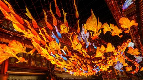 2025珠海景区春节有什么活动？附活动汇总（3）