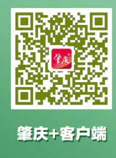 2024年肇庆马拉松比赛直播入口+回放入口（3）