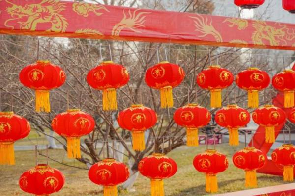2025西安兴庆宫长安灯市有哪些灯笼