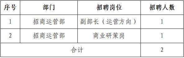 海南环岛公路旅游运营有限公司2025招聘（岗位+报名+条件）