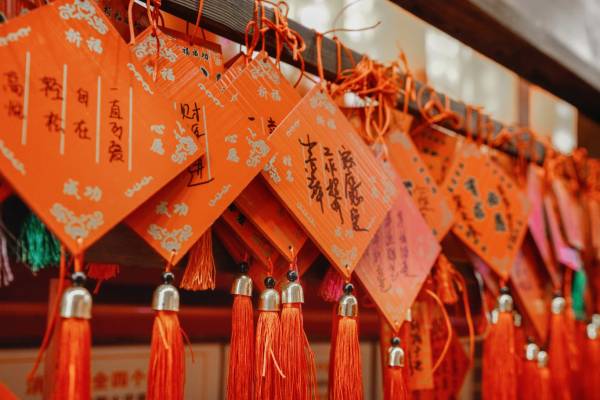 2025春节连云港渔湾景区都有什么活动