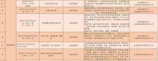 2025年云南民族村春节活动汇总