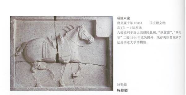 西安碑林博物馆镇馆之宝盘点