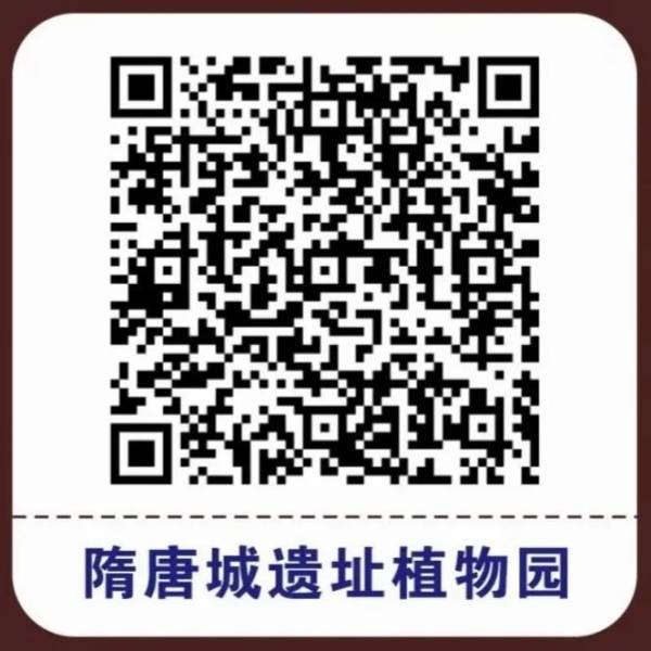 2025隋唐城遗址植物园春节优惠政策(2) 2025隋唐城遗址植物园春节优惠政策(2)