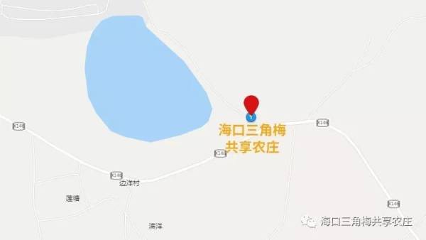 2025海口春节三角梅共享农庄村晚活动（时间+地点+活动）