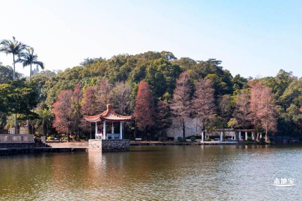 仙湖植物园免费开放时间什么时候