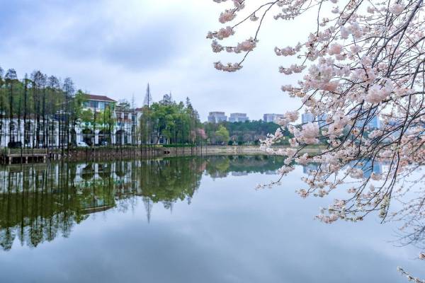 湖南省植物园游玩攻略(玩什么+门票预约+最新花展)