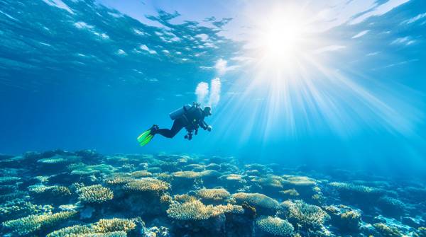 珠海万山群岛潜水黄金期是什么时候