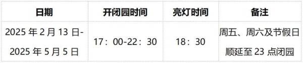2025自贡灯会什么时候结束?（2）