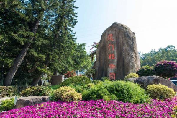 2025厦门元宵节免费活动大全（持续更新中）（3）