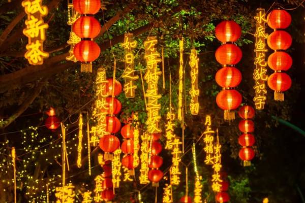 2025厦门元宵节免费活动大全（持续更新中）（8）