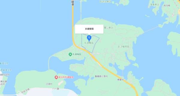 东湖樱花园什么时候开花？