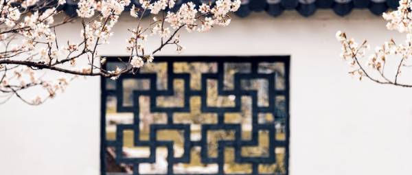 南京樱花什么时候去比较好
