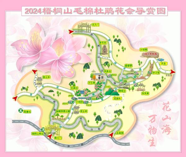 深圳梧桐山杜鹃花开了吗?花期详细介绍