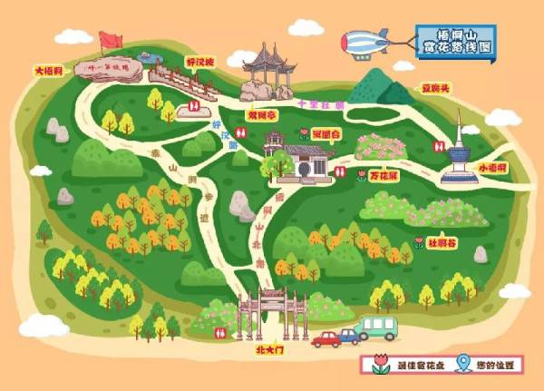 深圳梧桐山杜鹃花开了吗?花期详细介绍（2）