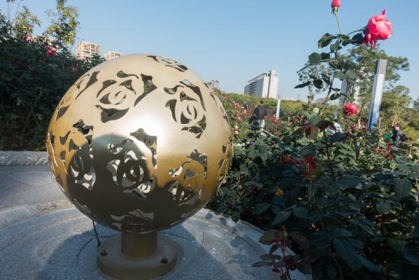 香蜜公园月季花什么时候开?花期及具体位置(2) 香蜜公园月季花什么时候开?花期及具体位置(2)