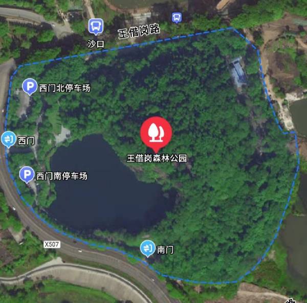 王借岗森林公园好玩吗?(附简介)