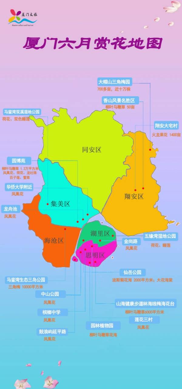 厦门6月赏花地图