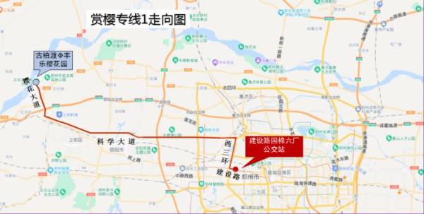 2025郑州古柏渡丰乐樱花园赏樱专线什么时候开通？