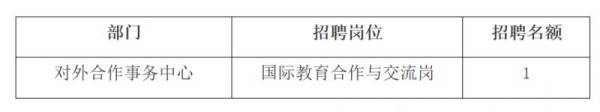 中国传媒大学海南国际学院2025年公开招聘（岗位+报名+条件）