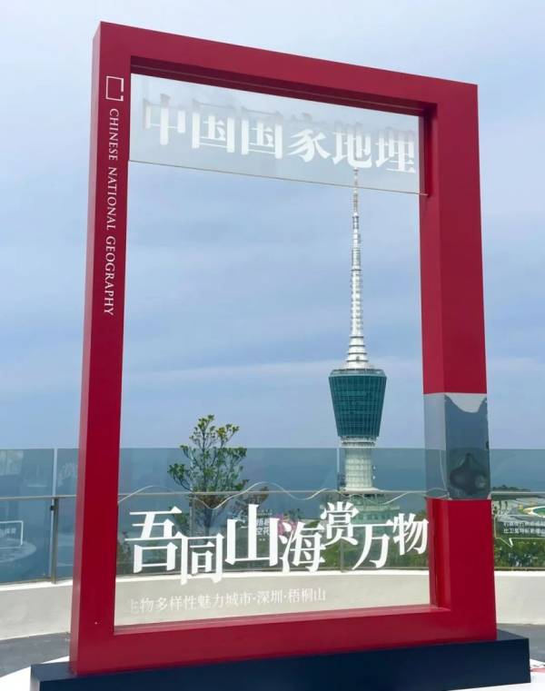深圳梧桐阁有什么好玩好看的?附现场图片（4）
