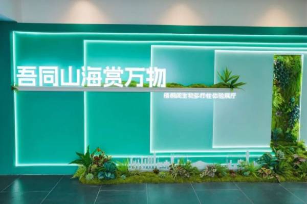 深圳梧桐阁有什么好玩好看的?附现场图片（5）