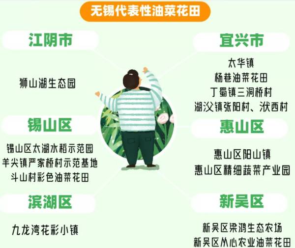 无锡油菜花什么时候开？
