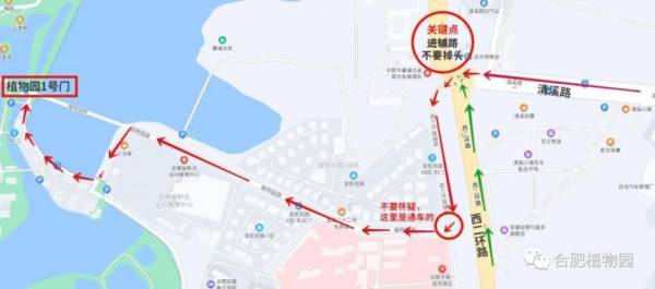 合肥植物园乘车路线（公交+地铁）