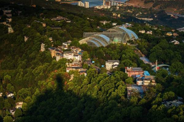 重庆南山植物园有些什么美景？（附景点介绍）