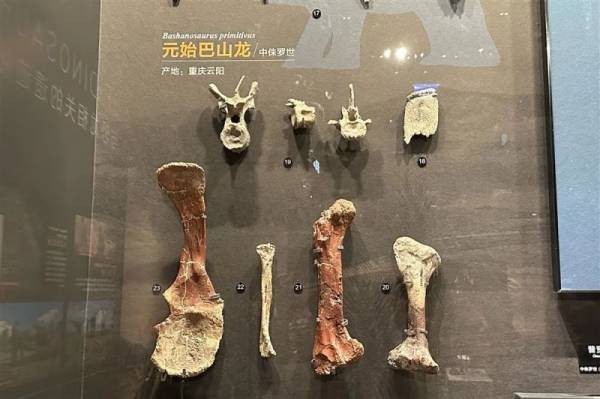 重庆自然资源科普馆有什么好玩的？（3）
