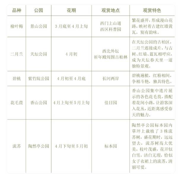 2024年北京五一公园有什么好玩的活动？（9）